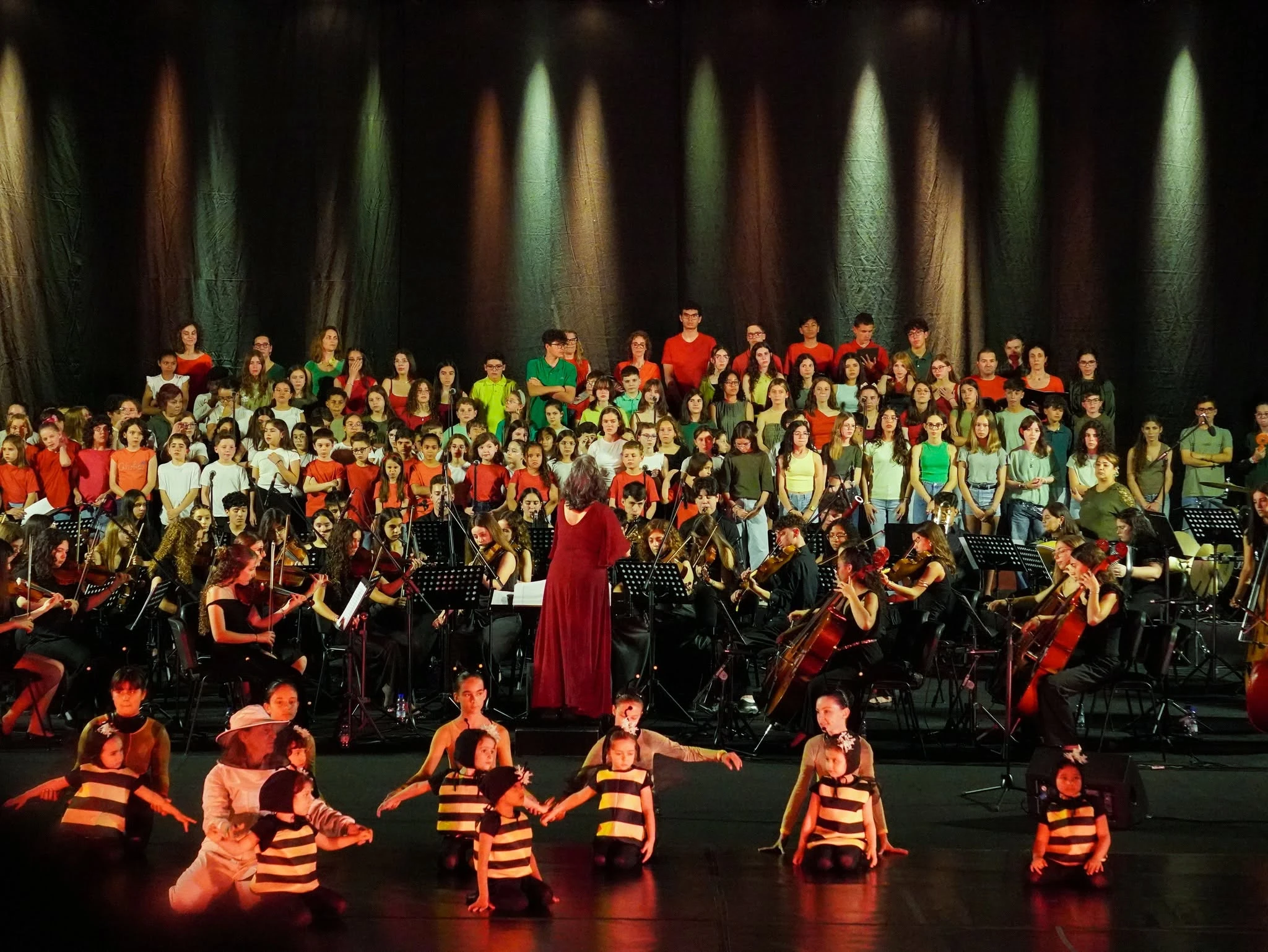 Academia de Música